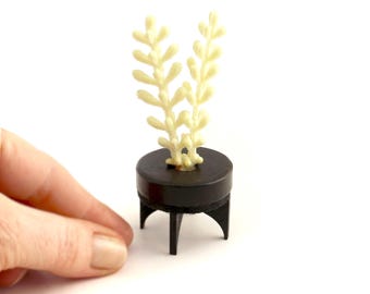 Tall Succulents in MCM Black Planter - Modern Miniature Dollhouse decor