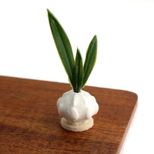 Broad Leaves in White Ceramic Pot - Modern Miniature decor