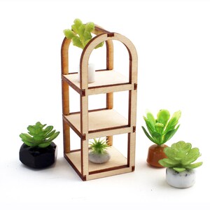 May include: A wooden shelf unit with three shelves and an arched top. The shelf unit is empty except for a small white pot on the top shelf. There are three small potted plants in front of the shelf unit.