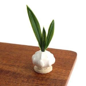 May include: A small, white ceramic garlic bulb with three green leaves. The garlic sits on a small, round, beige felt base. The object is placed on a wooden surface.