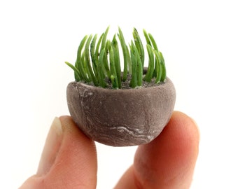 Small Pine Spray in Handmade Pot - Miniature Modern decor