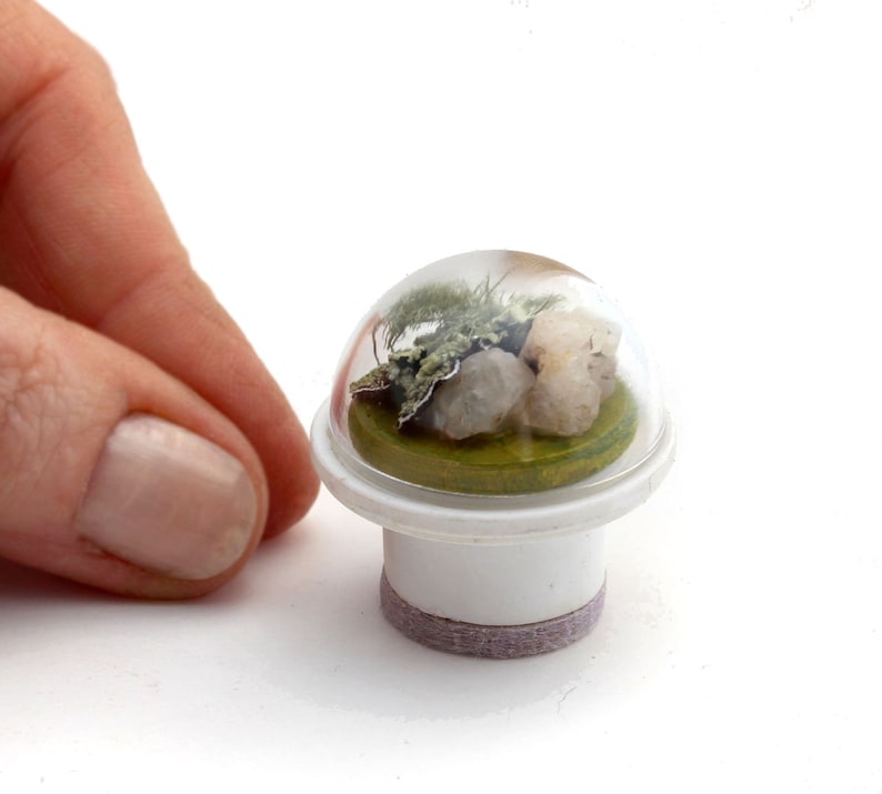 Dome-Covered Tabletop Terrarium Modern Miniature decor image 1