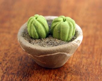Cactus Pair in Handbuilt Swirled Bowl - Modern Miniature decor