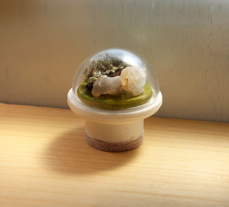 Dome-Covered Tabletop Terrarium Modern Miniature decor image 2