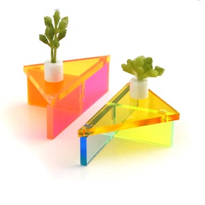 Puede incluir: Dos pequeñas estanterías triangulares de acrílico transparente con un acabado arcoíris iridiscente. Cada estantería tiene una pequeña planta en maceta en la parte superior. Las estanterías están inclinadas para crear una exhibición única.