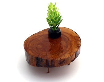 Thick Juniper Slice Tripod Table - Miniature Modern decor