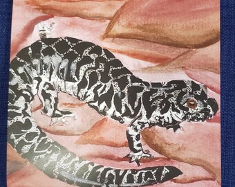 Frosted Flatwoods Salamander 6x6 wildlife watercolor print endangered species