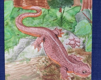 Rough Skinned Newt 6x6 wildlife watercolor print