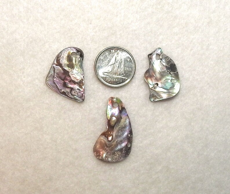 Set of 3 Top Drilled Shell Beads for Necklaces Natural Shell Charms Abalone Shell Pendants for Jewelry Making