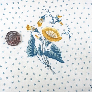 2.70 metres of Colefax and Fowler Chintz