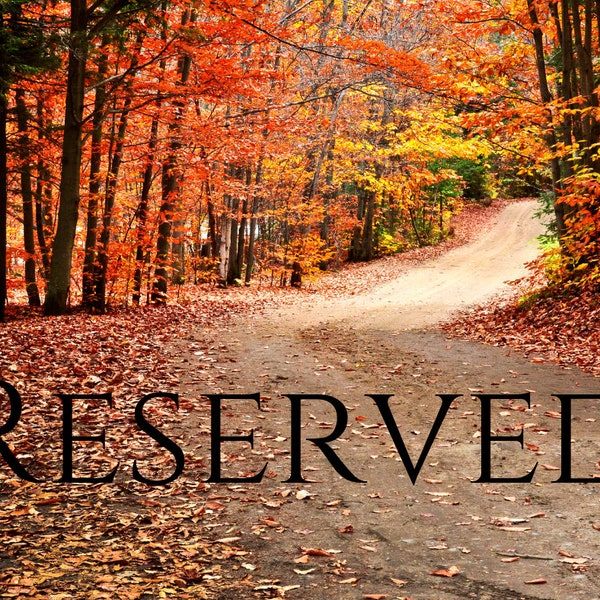 Reserved for Troy
