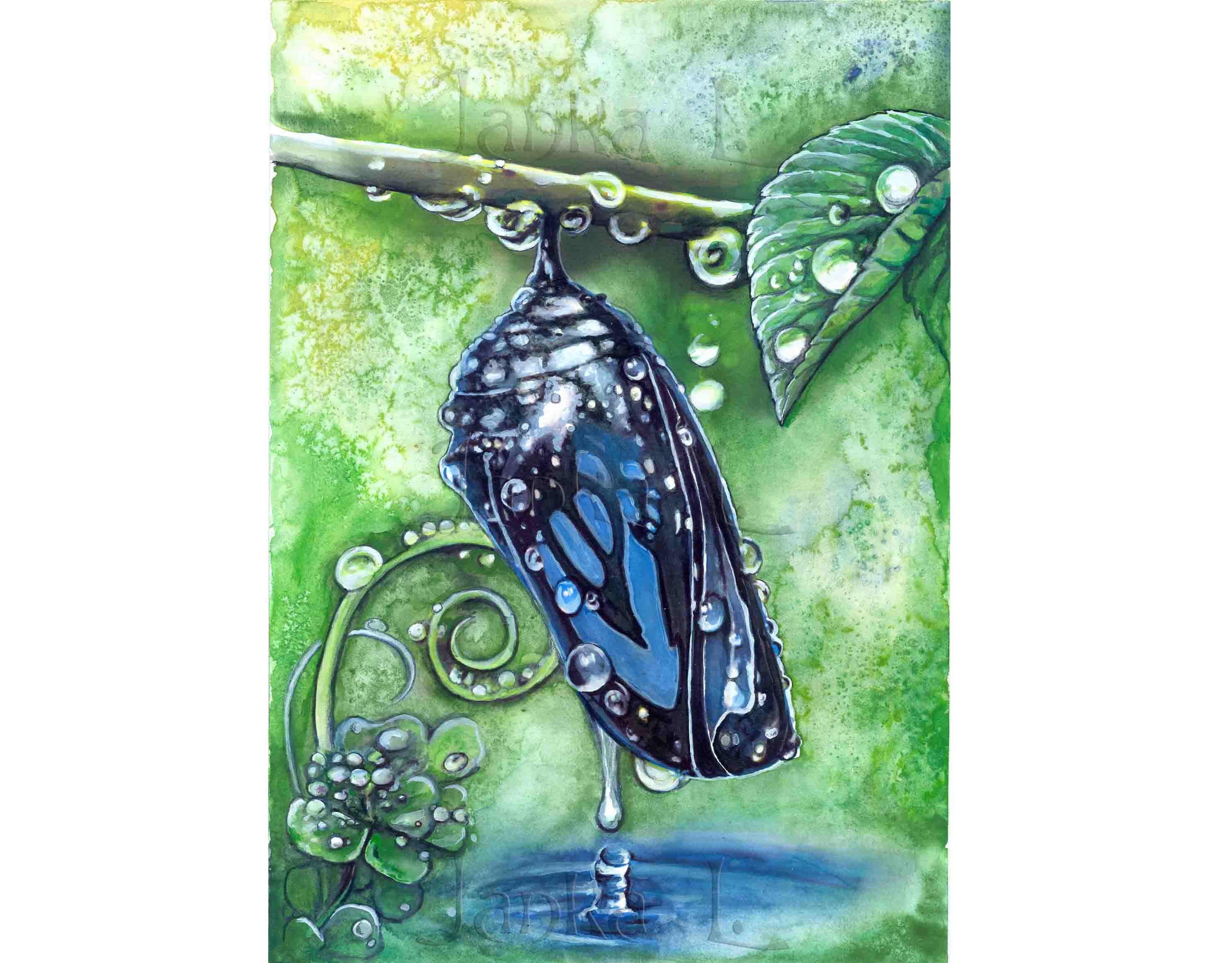 chrysalis　アートポスター Chrysalis Watercolor Painting: Signed Original Art, Nature Wall