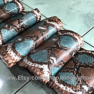 May include: Several strips of turquoise and brown python skin are rolled up and laid out on a tiled surface. The skin has a natural pattern and is ready for use in leather crafting projects.