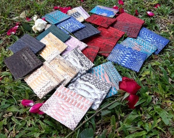 Handgefertigtes Kartenetui aus Pythonleder: Schmales Kreditkartenetui