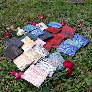 Card holder | Leather card holder | Slim card case | Namecard holder | Snakeskin card holder | credit card wallet | gift for him | wallet