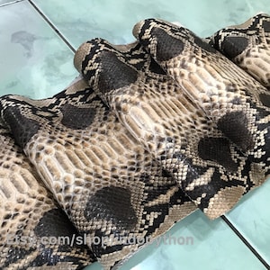 Peut inclure: Gros plan sur une peau de python beige et brune avec un motif noir. La peau est pliée en plusieurs couches, montrant la texture et les détails du matériau. Le texte "www.etsy.com/shop/indoptyhon" est visible dans le coin inférieur droit de l'image.