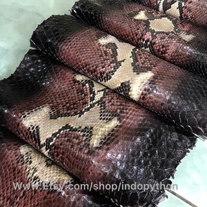 Puede incluir: Varias piezas de piel de pitón marrón, negro y blanco están enrolladas y apiladas unas sobre otras. La piel tiene un patrón texturizado y un acabado brillante. El texto "www.Etsy.com/shop/indopython" es visible en la parte inferior de la imagen.
