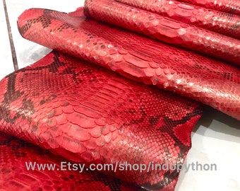Rote Pythonleder Verstecken Echte Schlangenhaut Ganze Fell Exotisches Bastelmaterial für Stiefel Taschen Lederhandwerk Versorgung Zurück Geschnittene gegerbte Pythonhaut