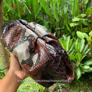 May include: A clutch made of snakeskin in shades of brown, black, and white. The bag has a soft, gathered design and a natural, textured appearance. The background features lush green foliage.