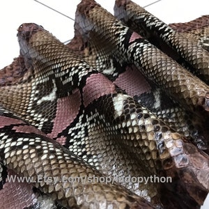 Op de afbeelding: Close-up van een roze en bruine pythonhuid met een textuurpatroon. De huid is in meerdere lagen gevouwen, waardoor de ingewikkelde details van de schubben zichtbaar worden.