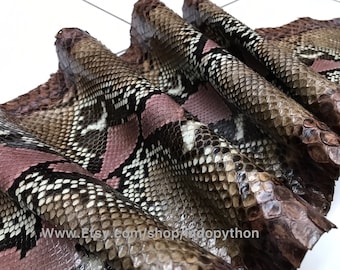 Cuir de python véritable : peau de serpent exotique marron et rose (3-3,5 m)
