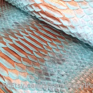 以下が含まれることがあります： ターコイズと銅色のパイソン革のクローズアップ。革は鱗状の質感で、半分に折り畳まれています。画像の右下隅に「www.etsy.com/shop/RainbowPython」というテキストが表示されています。