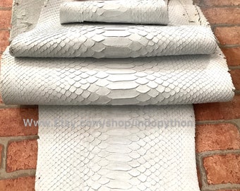 楽天市場】python skin genuineの通販