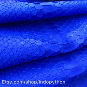 Cuir de python véritable, Cuir de python naturel, Peau de serpent, Peau de serpent bleue, Cuir de python véritable, Cuir de python bleu, Peau bleu royal