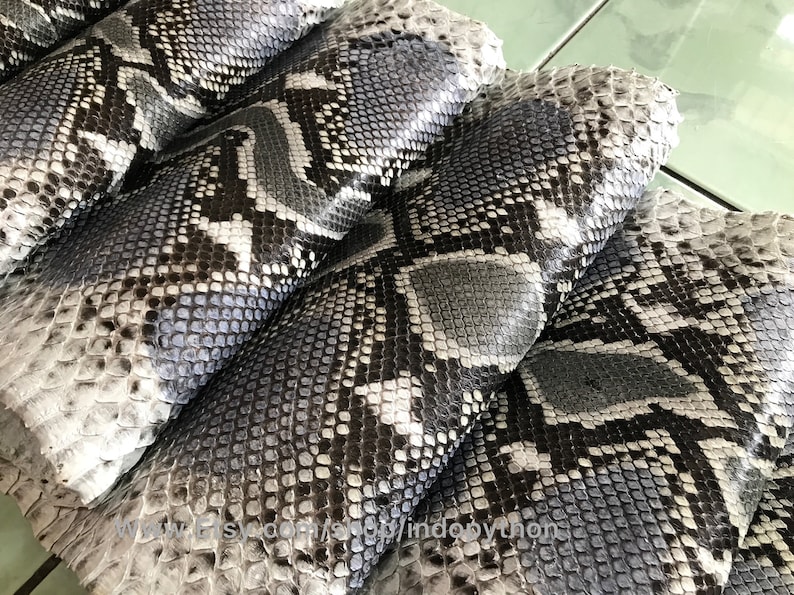May include: Close-up of several pieces of black and white python skin. The skin has a textured pattern and is arranged in a stack.