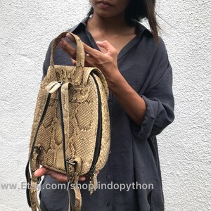 Puede incluir: Una peque&ntilde;a mochila de piel de serpiente beige con cremalleras y correas negras. La mochila tiene un patr&oacute;n texturizado &uacute;nico y la sostiene una persona que lleva una camisa azul oscuro.