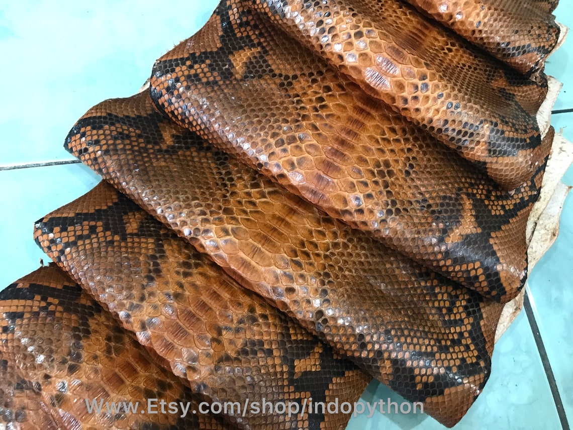 Genuine Python Leather Natural Python Leather Hide Snake Etsy
