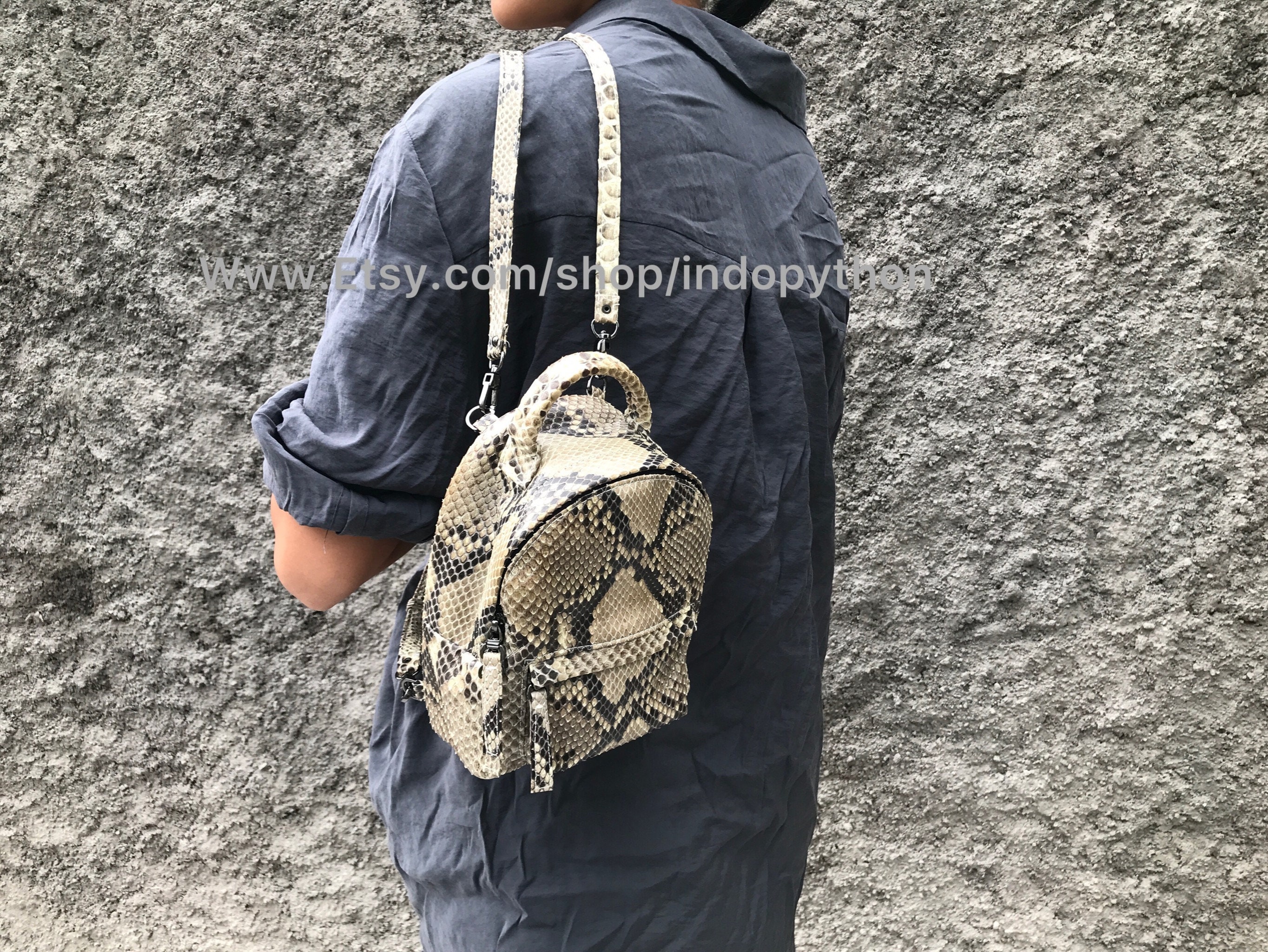 Cream Backpack with Snake-Print Base and Gold Hardware image_ee0a1033-a1fe-493a-bd56-  main image 3