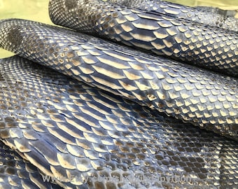 Genuine Python Snakeskin Hide: Natural Blue Leather