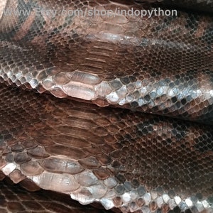 May include: Close-up of a brown and black python skin with a scaly texture. The skin is folded in layers, revealing the intricate pattern of the scales.