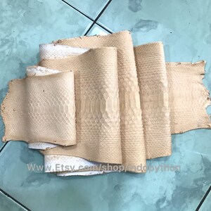 Puede incluir: Varios trozos de piel de serpiente curtida de diferentes tama&ntilde;os y formas. Las pieles son principalmente de color beige y crema, con un patr&oacute;n de escamas. La imagen est&aacute; tomada sobre una superficie de baldosas azul claro. La URL de la tienda Etsy es visible.