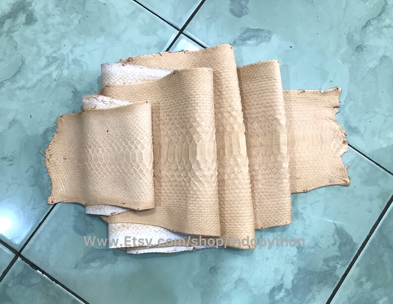 Puede incluir: Varios trozos de piel de serpiente curtida de diferentes tama&ntilde;os y formas. Las pieles son principalmente de color beige y crema, con un patr&oacute;n de escamas. La imagen est&aacute; tomada sobre una superficie de baldosas azul claro. La URL de la tienda Etsy es visible.
