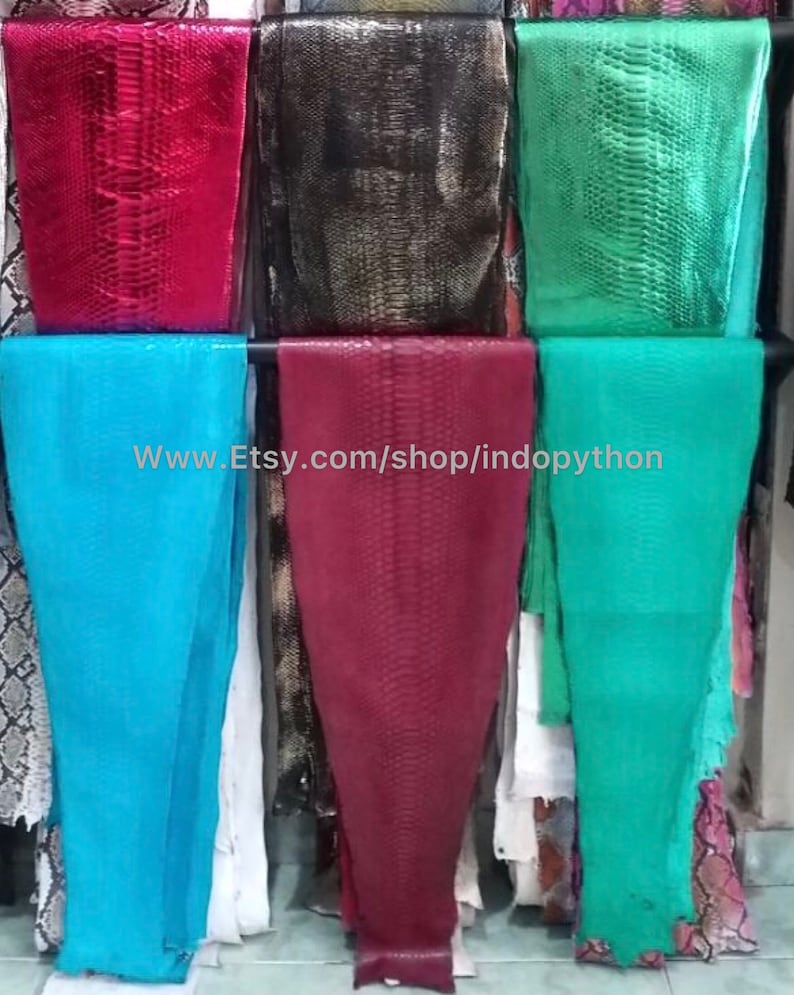 Może przedstawiać: Asortyment kolorowych sk&oacute;r pytona w r&oacute;żnych odcieniach czerwieni, zieleni, błękitu i czerni. Sk&oacute;ry są ułożone w rzędach na p&oacute;łce, z widocznym tekstem "www.Etsy.com/shop/indopython" w środku.