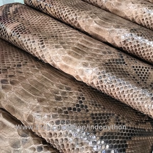 Genuine Python Leather Hide: Cream Snakeskin, Back Cut (3-3.5m)