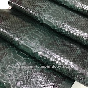 Może przedstawiać: Zbliżenie na kilka kawałków zielonej skóry pytona. Skóra ma fakturowaną, łuskowatą powierzchnię. Skóra jest złożona i ułożona jedna na drugiej. Tekst "www.Etsy.com/shop/indopython" jest widoczny w prawym dolnym rogu obrazu.