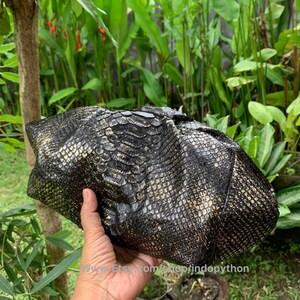 K&ouml;nnte beinhalten: Nahaufnahme einer schwarzen und goldenen Python-Haut. Die Haut hat ein strukturiertes, schuppiges Muster. Die Haut wird in einer Hand gehalten.