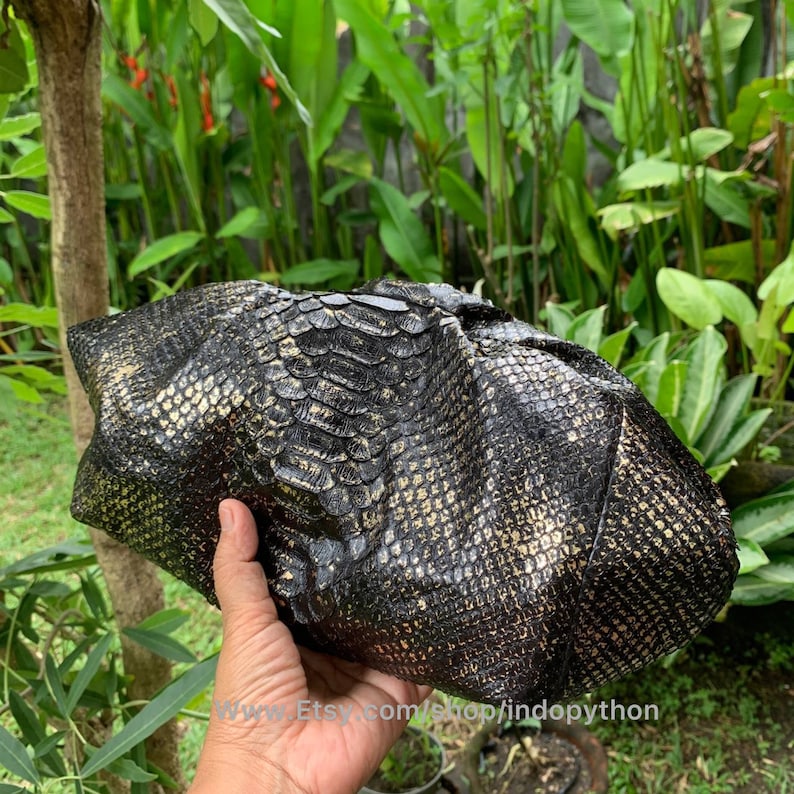 K&ouml;nnte beinhalten: Nahaufnahme einer schwarzen und goldenen Python-Haut. Die Haut hat ein strukturiertes, schuppiges Muster. Die Haut wird in einer Hand gehalten.