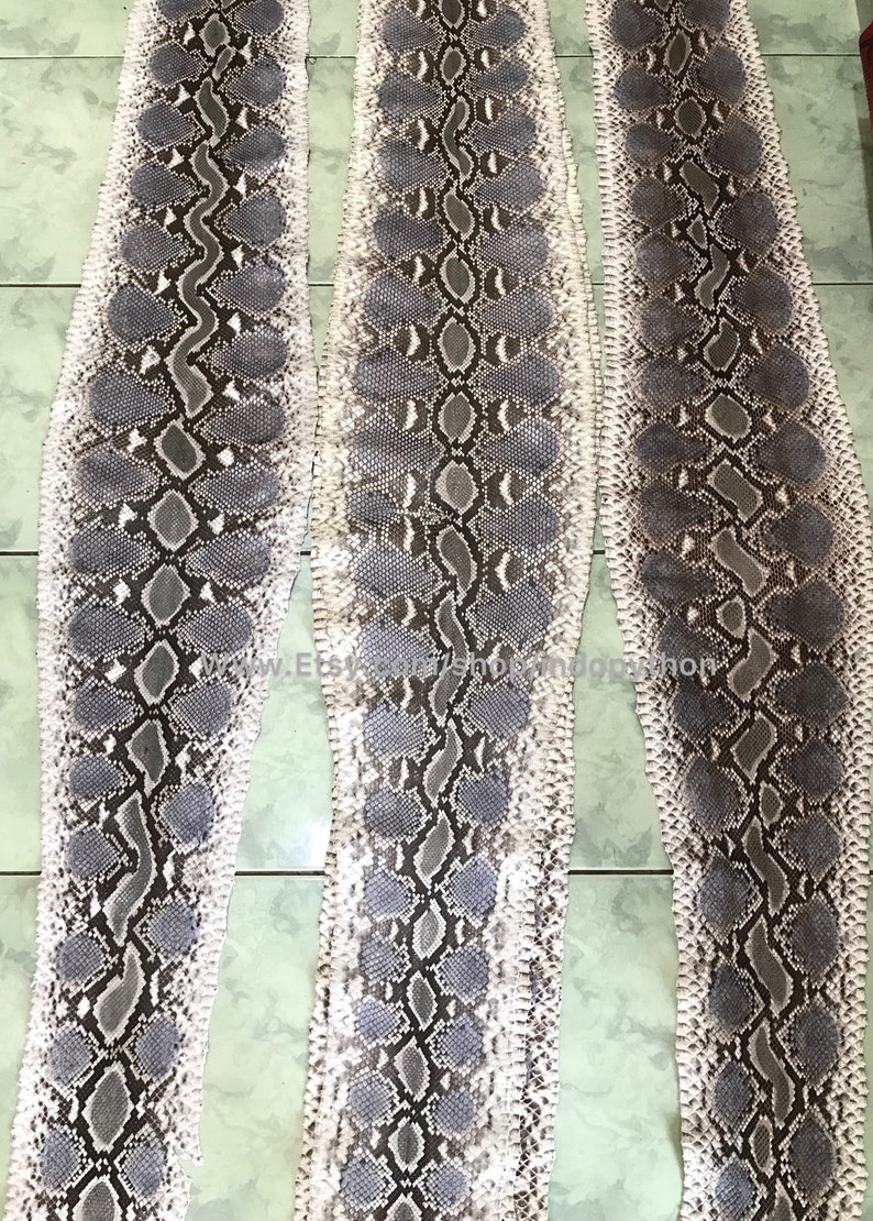 May include: Three long strips of light gray and brown python skin. The skin has a textured pattern of scales.