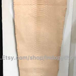 Puede incluir: Una sola pieza de piel de pit&oacute;n de color beige claro con un patr&oacute;n texturizado en forma de escamas. La piel es alargada e irregular, con un aspecto natural y org&aacute;nico. La URL de la tienda Etsy es visible.
