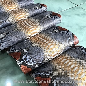 May include: A collection of snake skins, displaying a natural pattern of grey, tan, and brown scales. The edges are a reddish-brown hue. The skins are neatly arranged, showcasing the intricate pattern.