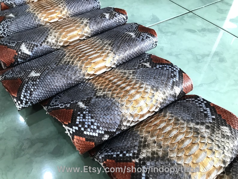 May include: A collection of snake skins, displaying a natural pattern of grey, tan, and brown scales. The edges are a reddish-brown hue. The skins are neatly arranged, showcasing the intricate pattern.