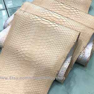 Puede incluir: Varios trozos de piel de serpiente de color beige claro con un patr&oacute;n de escamas est&aacute;n apilados. Los bordes de la piel son blancos. La URL de la tienda de Etsy es visible en la parte inferior de la imagen.