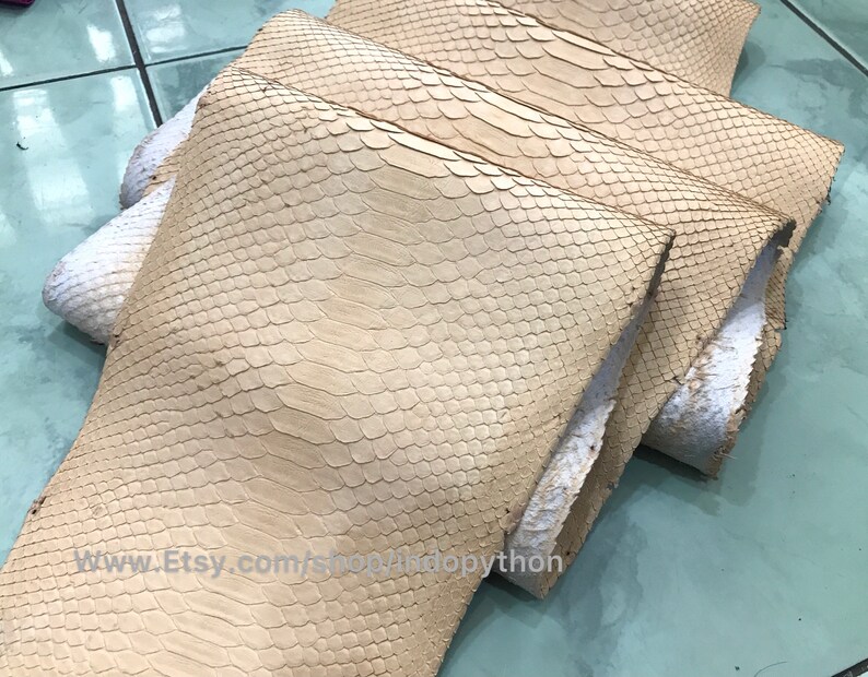 Puede incluir: Varios trozos de piel de serpiente de color beige claro con un patr&oacute;n de escamas est&aacute;n apilados. Los bordes de la piel son blancos. La URL de la tienda de Etsy es visible en la parte inferior de la imagen.