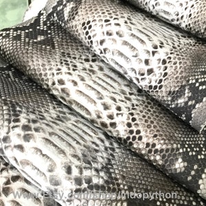 Cuir de python véritable, Cuir de python naturel, Peau de serpent, Peau de serpent gris, Cuir de python véritable, Peau de serpent véritable, Cuir de python gris