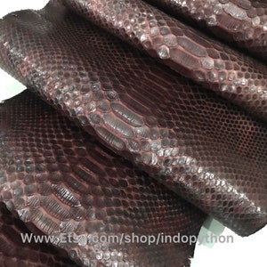 Può includere: Primo piano di una pila di pelli di pitone marrone scuro. La pelle ha una superficie testurizzata e squamosa. Le pelli sono piegate e impilate l'una sull'altra. L'immagine include il testo "www.Etsy.com/shop/indopython".