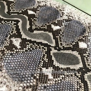 May include: Close-up of a black and white python skin with a diamond pattern. The skin has a textured surface and a glossy finish.
